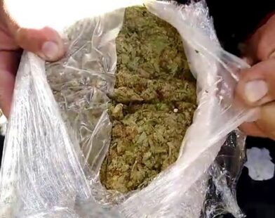 marihuana